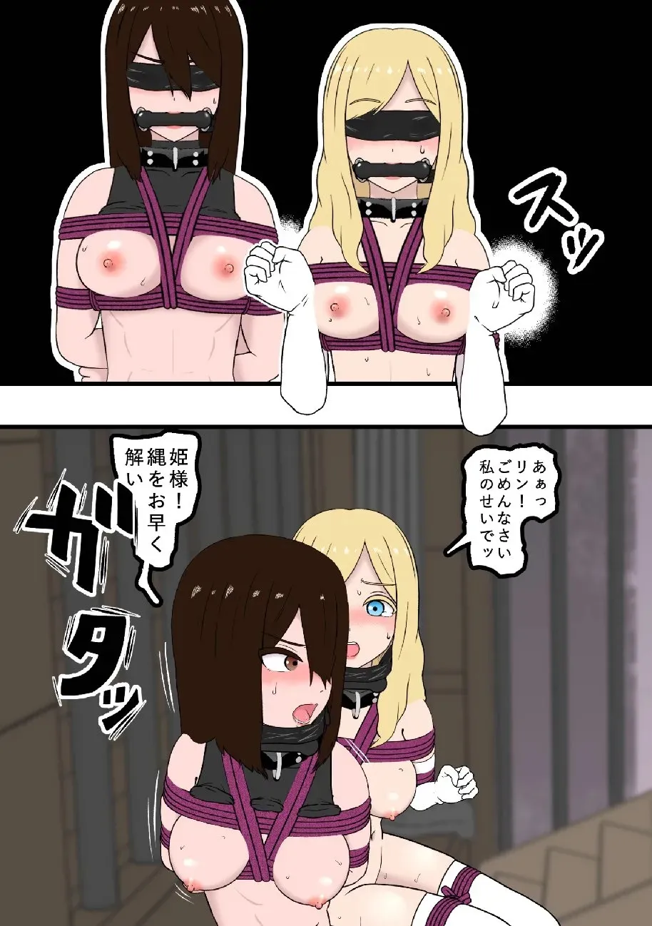 騎士・姫敗北拘束記録_8