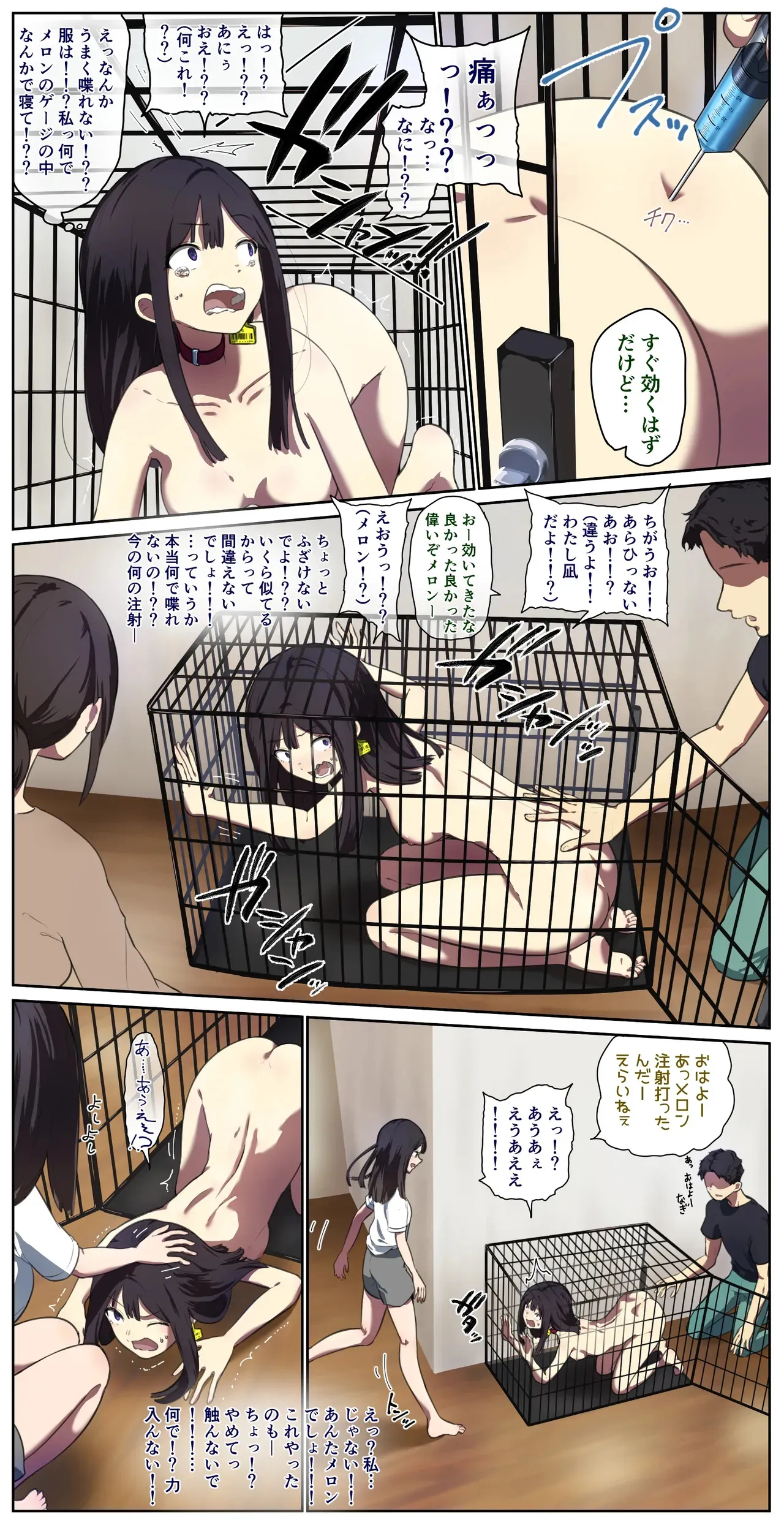 ペット人畜のいる家_5