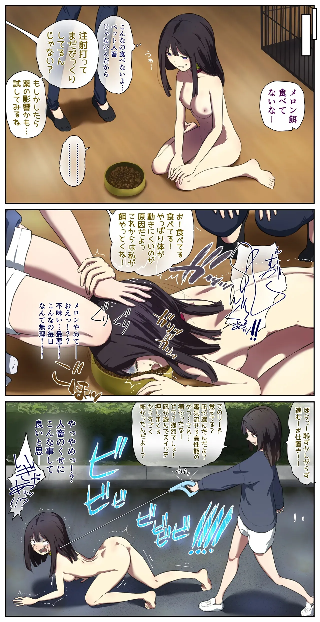 ペット人畜のいる家_6