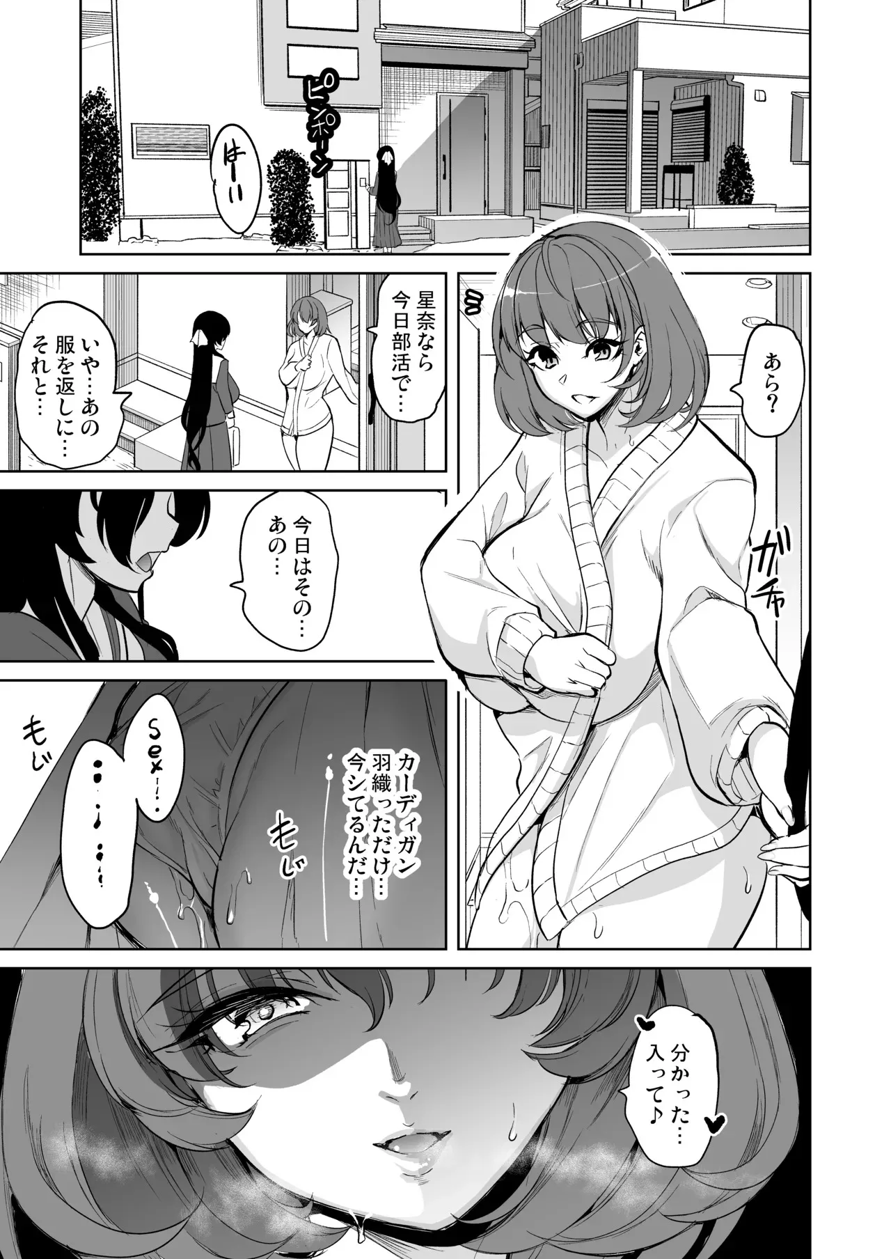 [弥美津峠 (鳳まひろ)] 私がハメ撮り裏垢にハマった理由_6