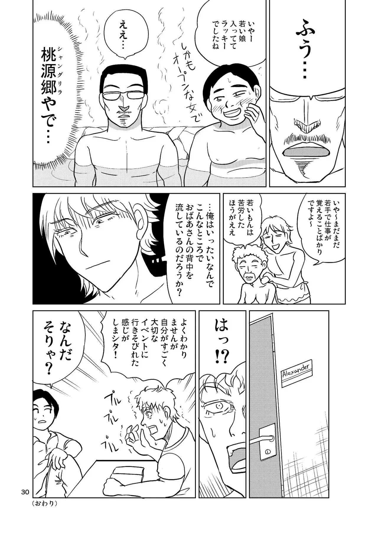 image_29