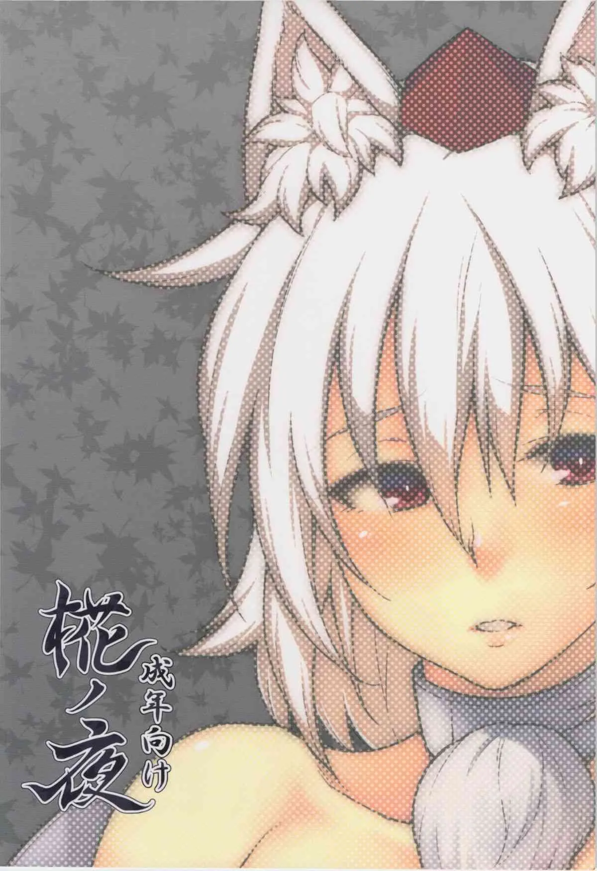 (例大祭12) [広十練習帖 (広弥)] 椛ノ夜 (東方Project)_2