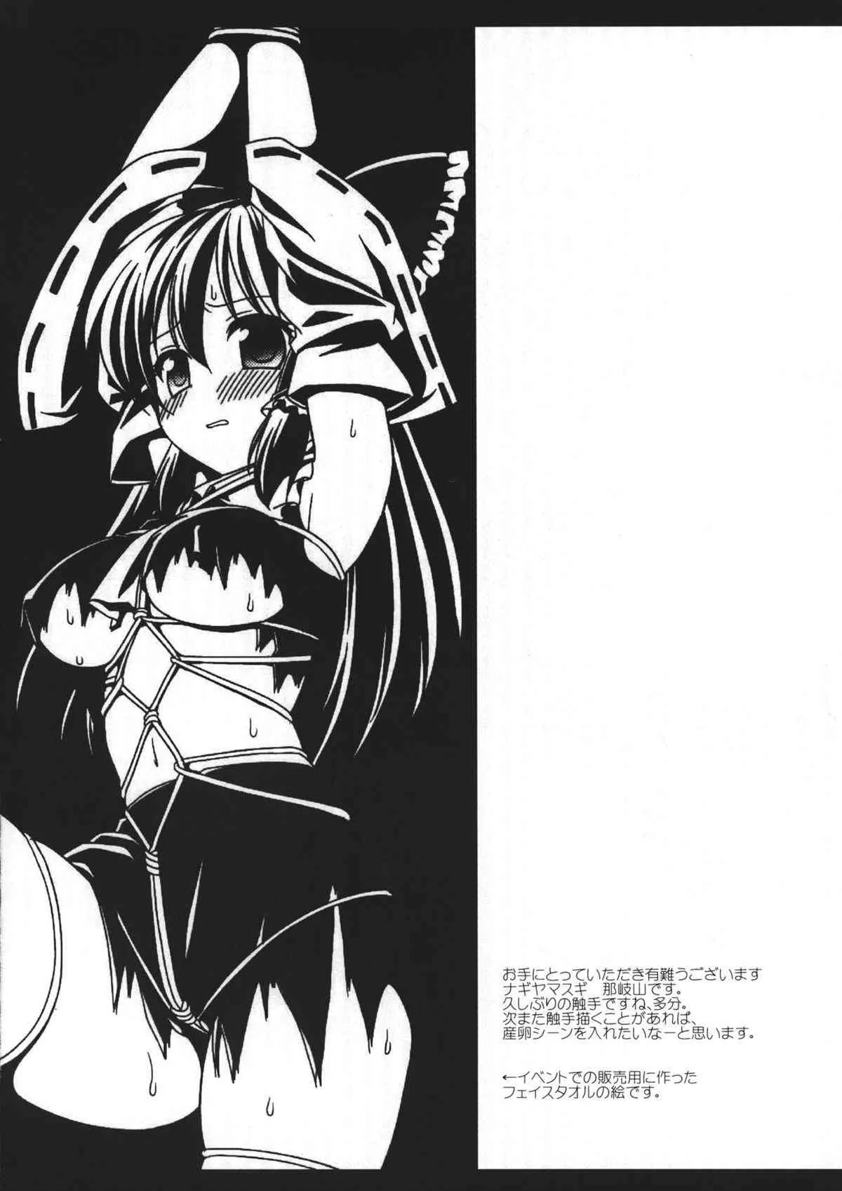 (COMIC1☆6) [ナギヤマスギ (那岐山)] 東方陵辱16 (東方Project)_3