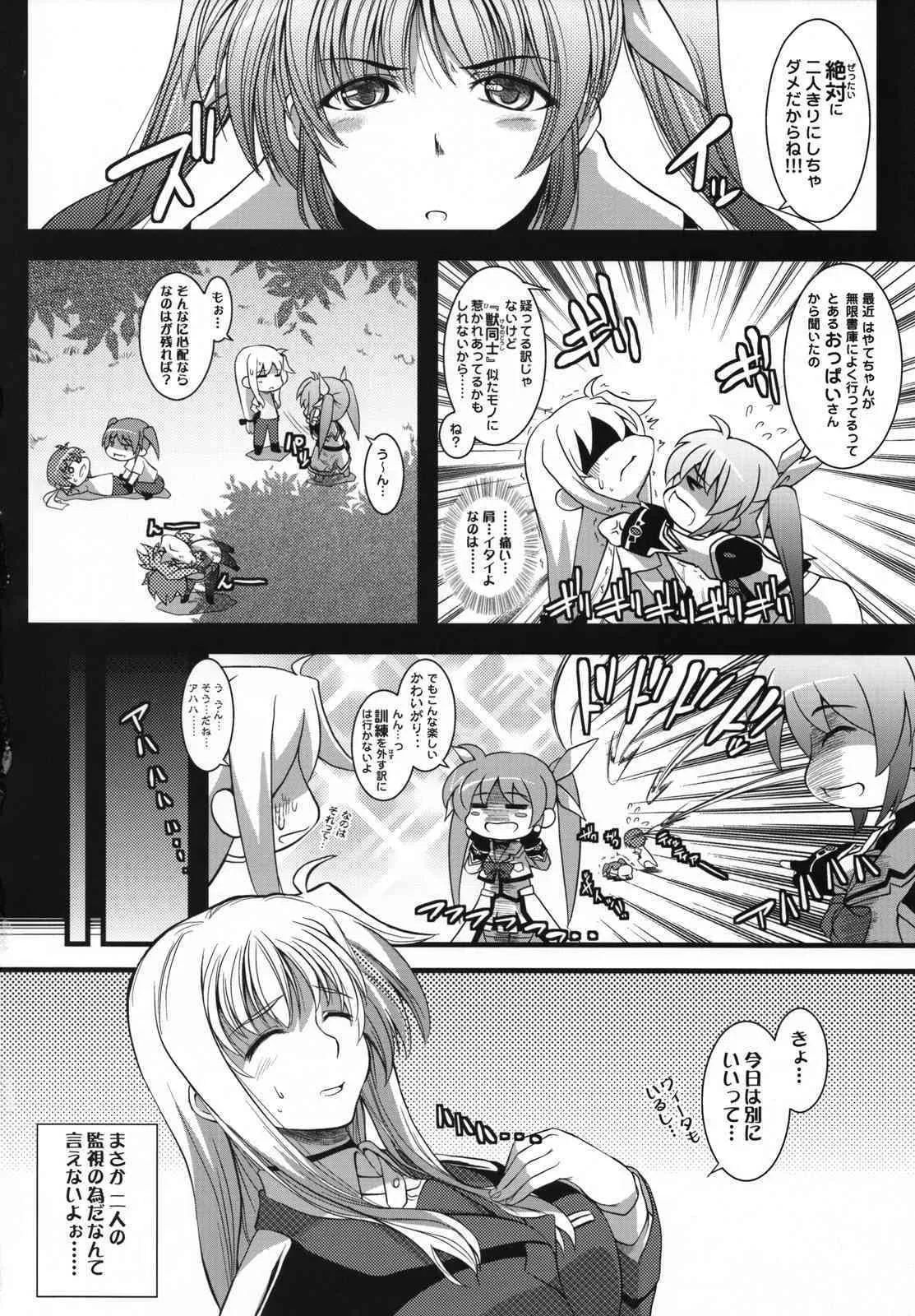(C74) [SAZ] ましゅまろ・きゃっちぼーる (魔法少女リリカルなのはStrikerS)_2