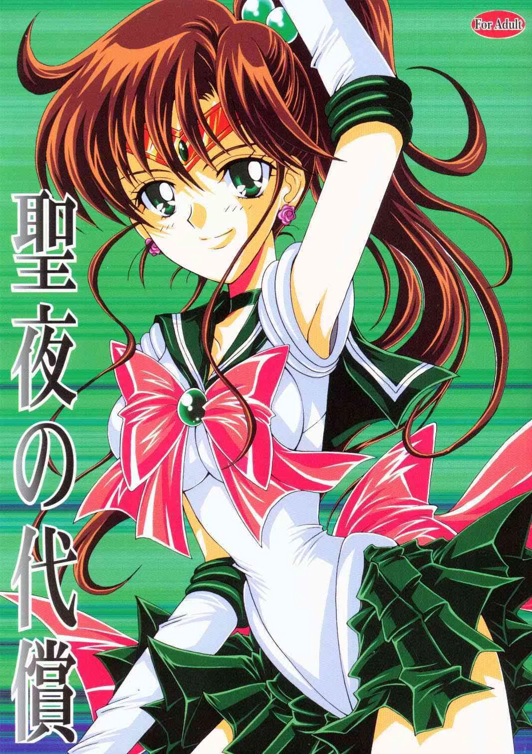[小鳥事務所 (桜文鳥)] 聖夜の代償 (セーラームーン)
