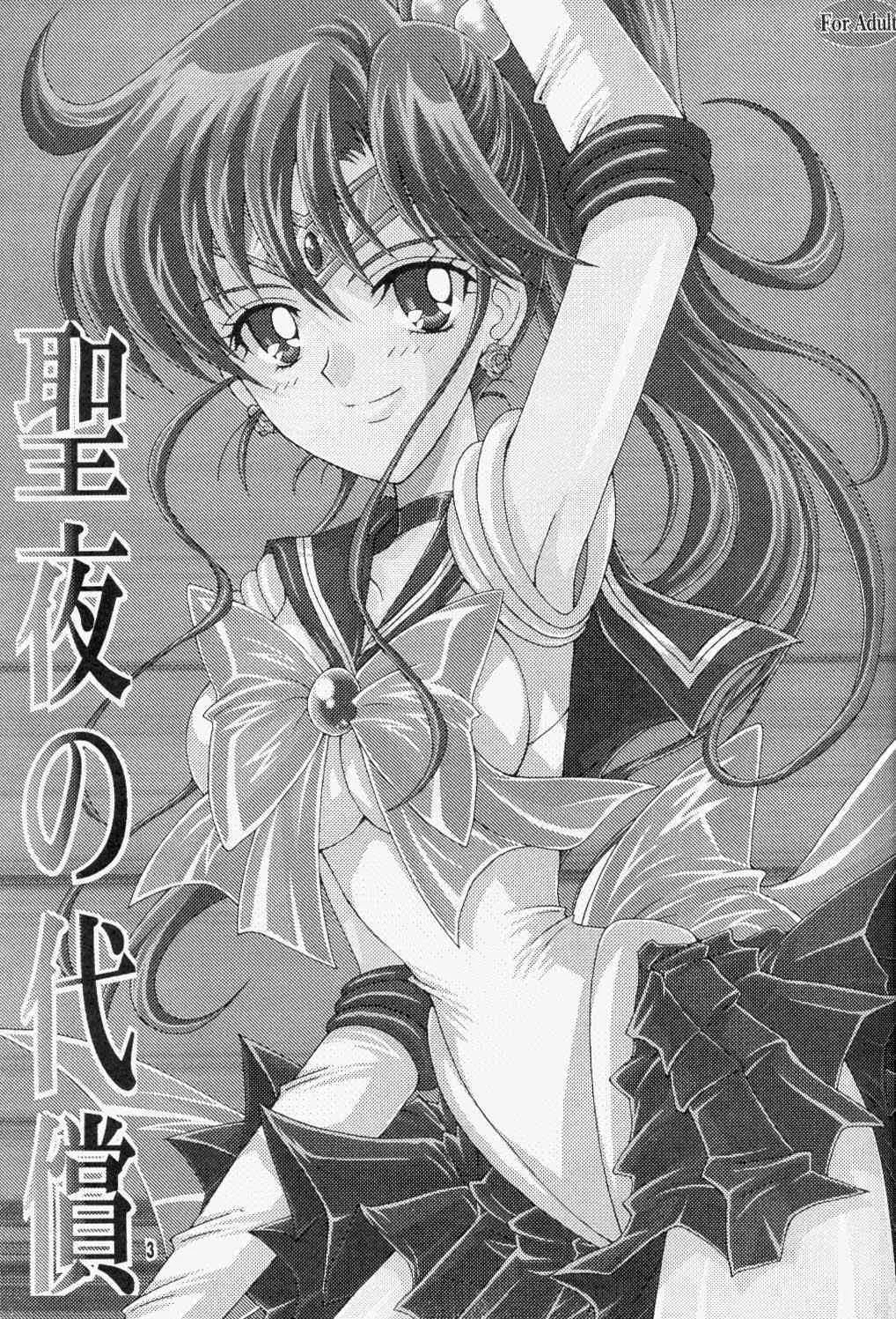 [小鳥事務所 (桜文鳥)] 聖夜の代償 (セーラームーン)_2