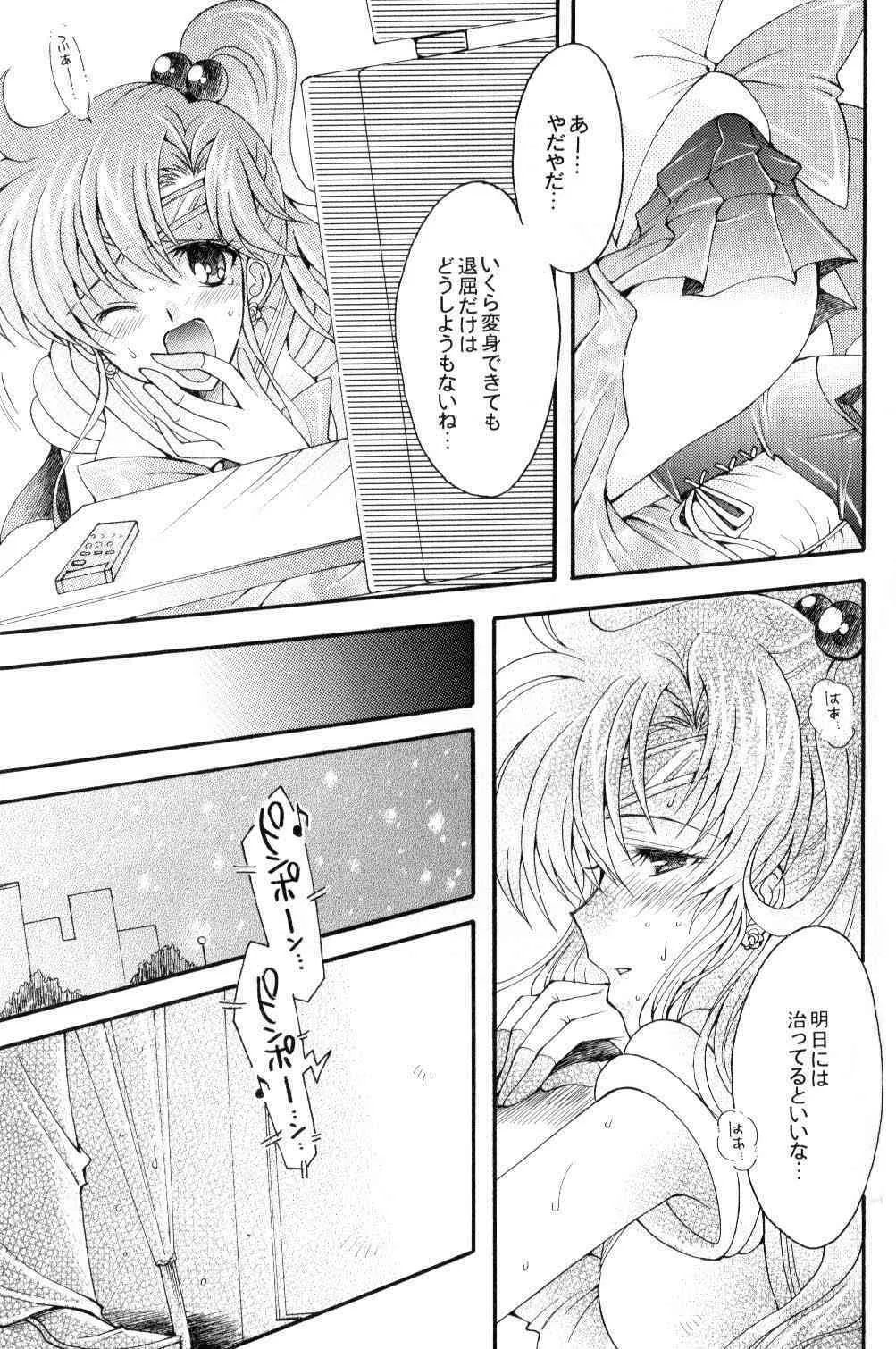 [小鳥事務所 (桜文鳥)] 聖夜の代償 (セーラームーン)_8