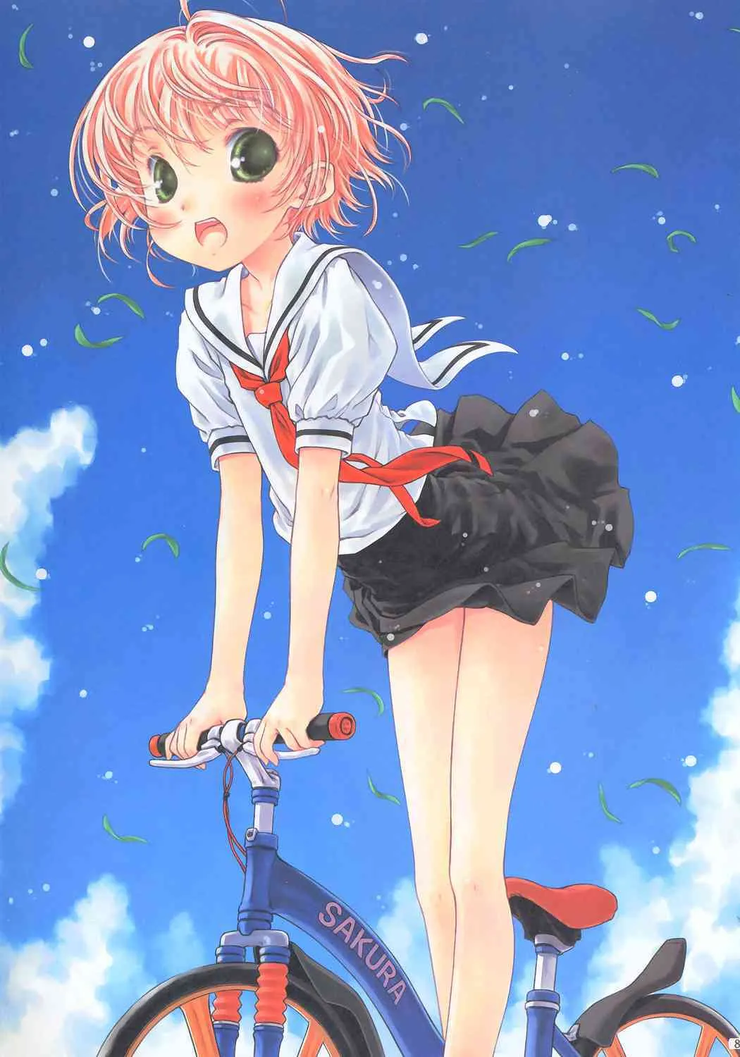 (C68) [超平板小娘電視台 (ほっけうるふ)] サクラカラー (カードキャプターさくら)_8