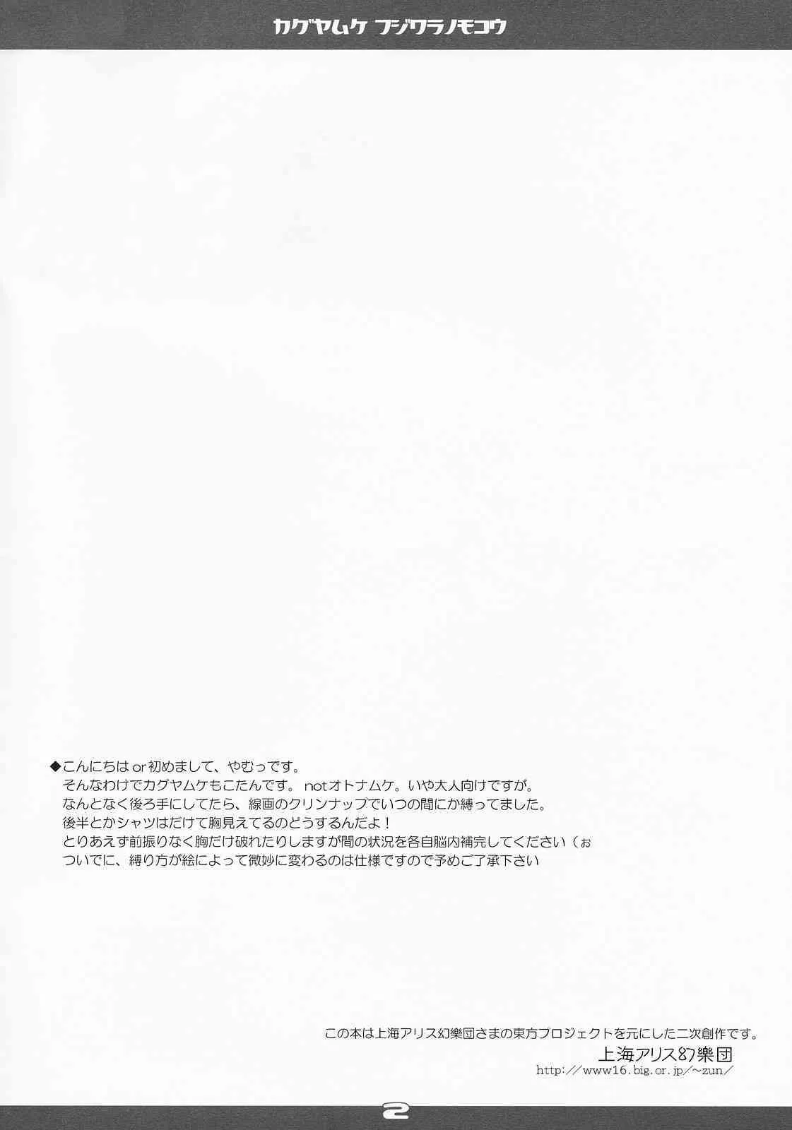 [Reverse Noise (やむっ)] カグヤムケ フジワラノモコウ (東方Project)_2