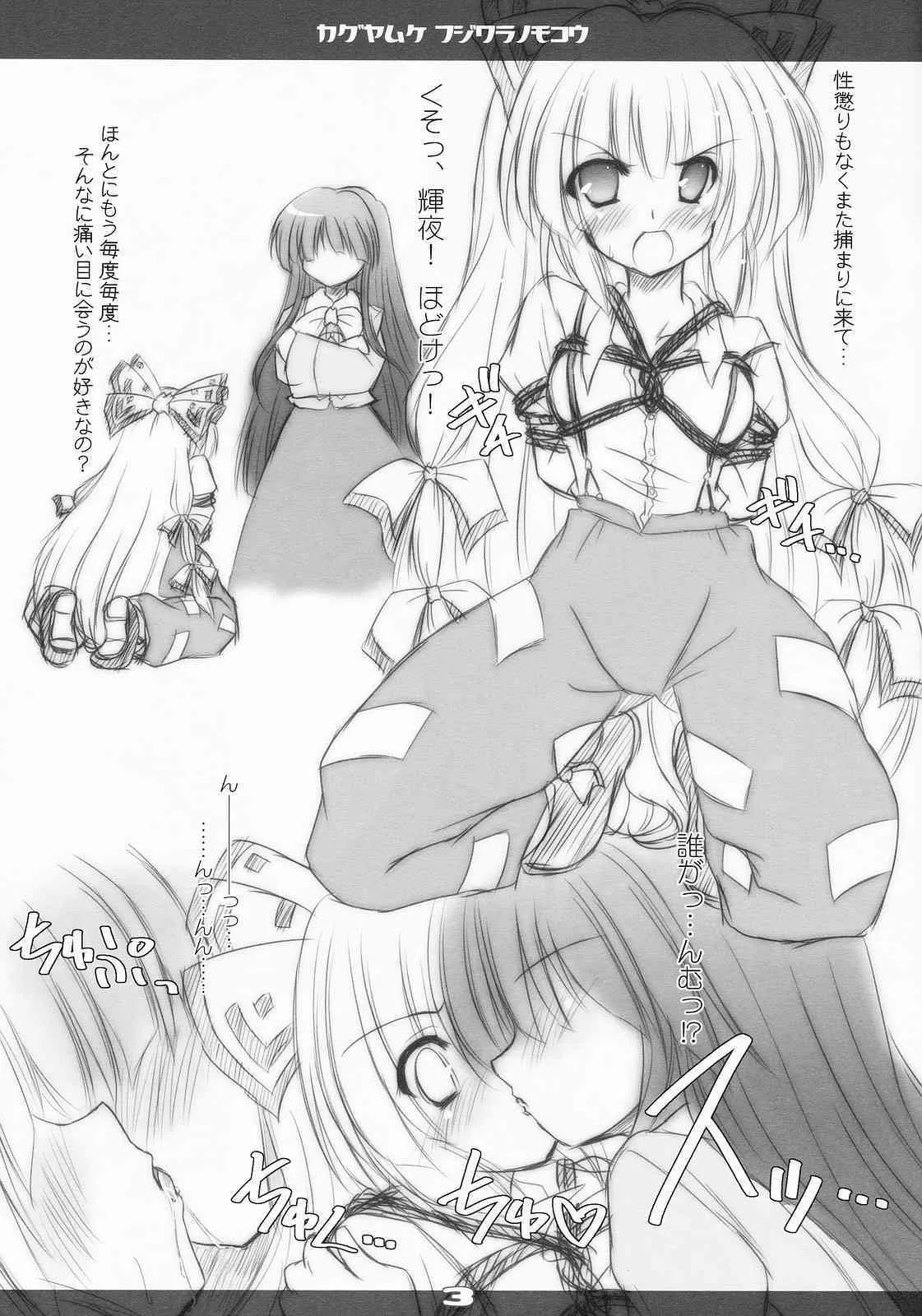 [Reverse Noise (やむっ)] カグヤムケ フジワラノモコウ (東方Project)_3