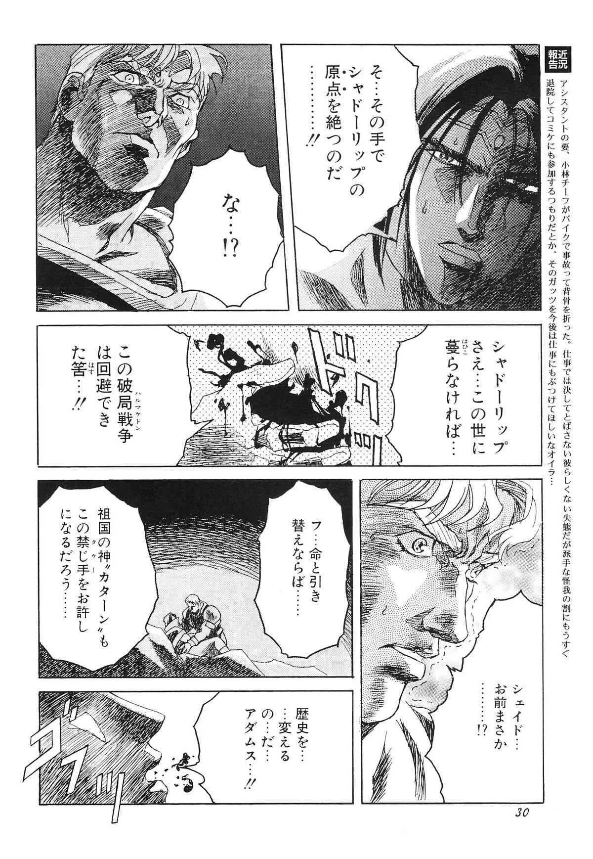 image_31
