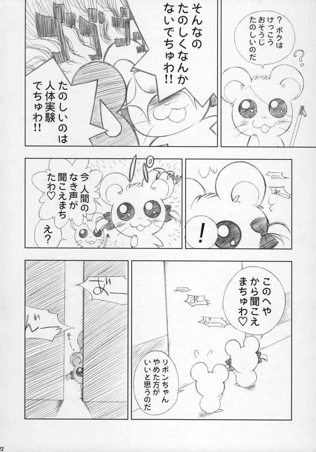 image_21