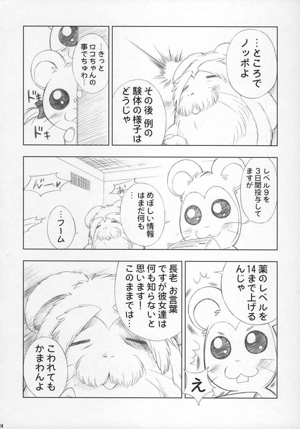image_23