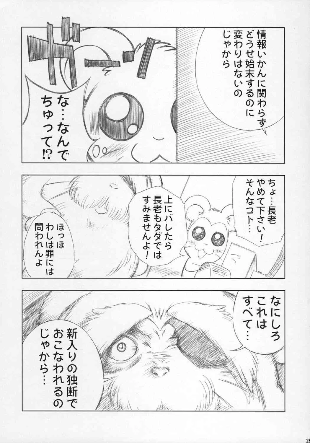 image_24