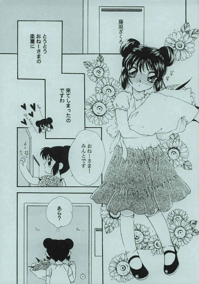 (Cレヴォ29) [LUNA PAPA (よろず)] ちょこみんと (東京ミュウミュウ)_4