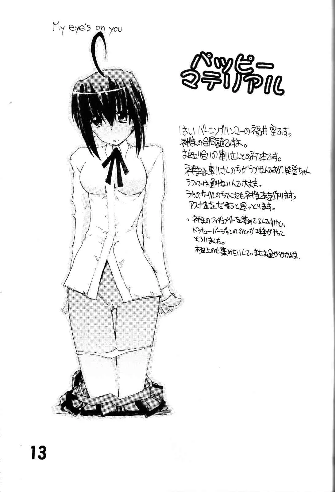 [バーニングハンマー (車八, 福井空)] パッピーマテリアル (魔法先生ネギま!)_5