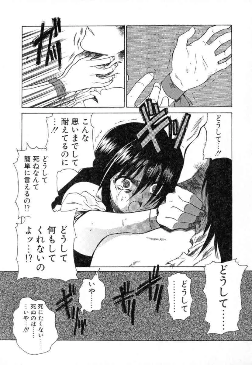 image_41