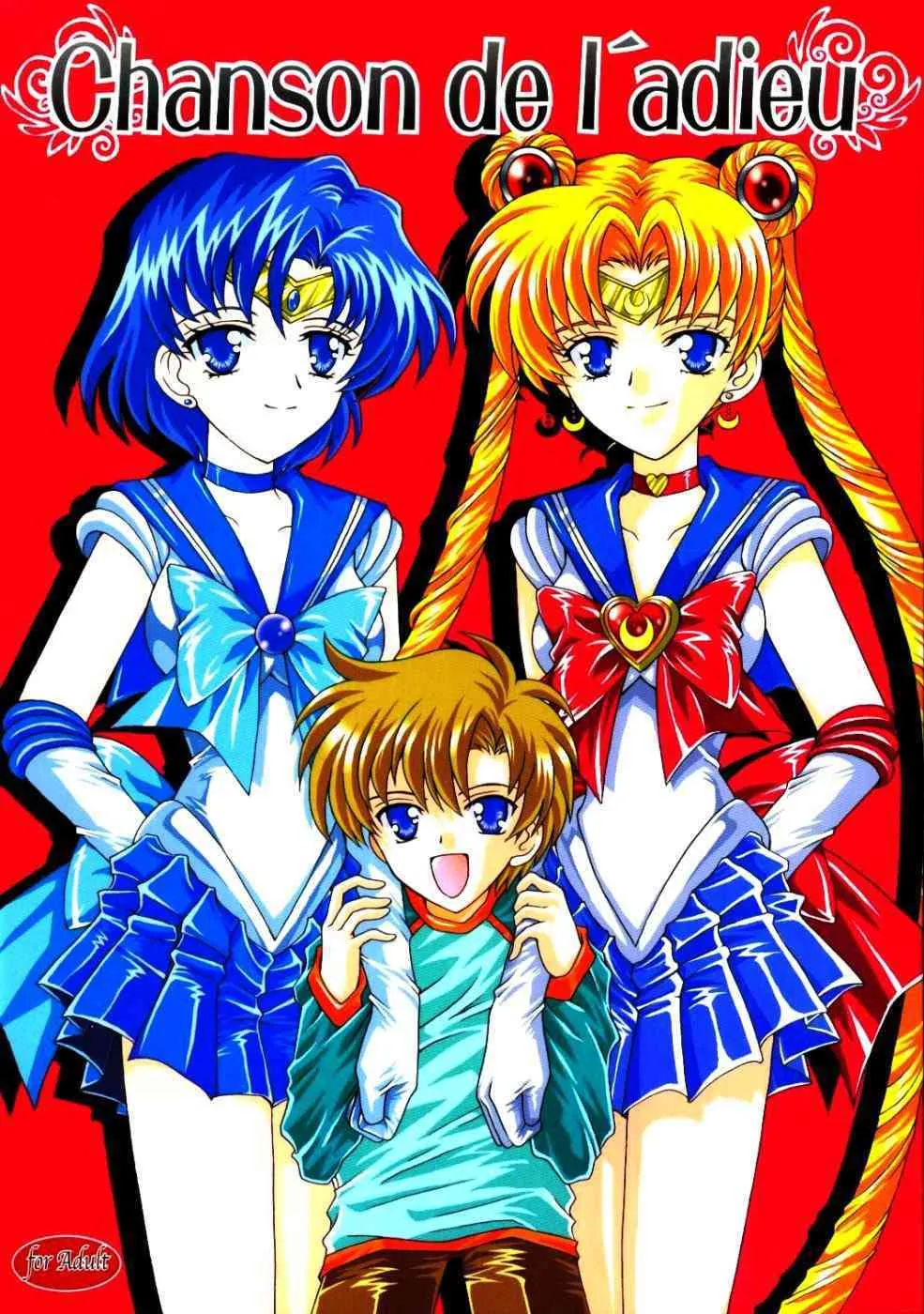 (C67) [小鳥事務所 (桜文鳥)] chanson de I’adieu (セーラームーン)