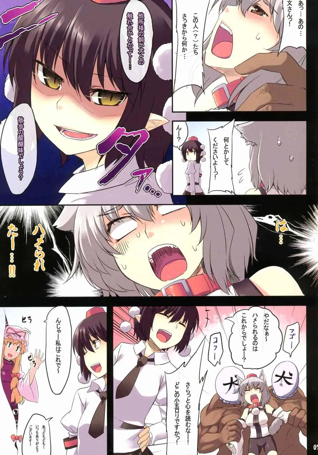 (例大祭9) [てんらけ茶屋 (あーる。)] ふれあいさんぽみち (東方Project)_8