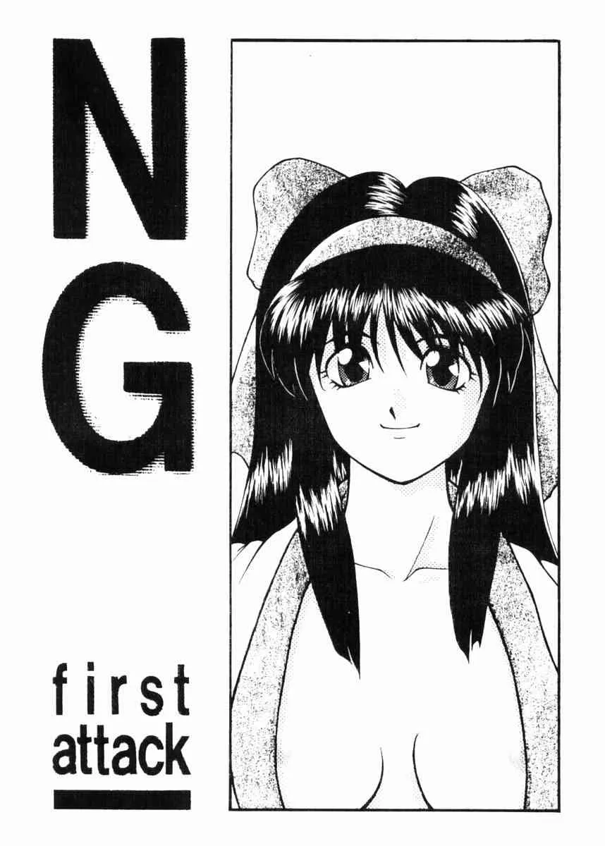 (C45) [サークル塩々] NG first attack (よろず)