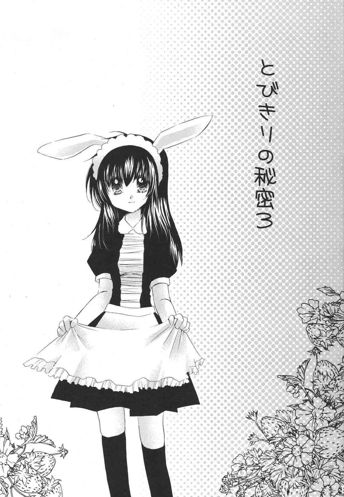 [Sakurakan] Tobikiri No Himitsu 03 (Inu Yasha)