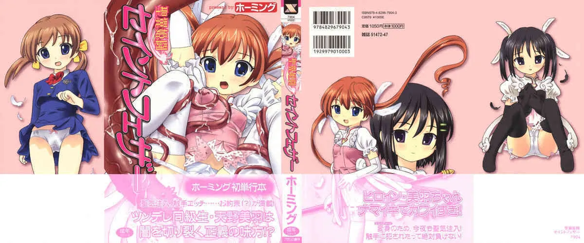 [ホーミング] 聖翼姫闘 セイントフェザー