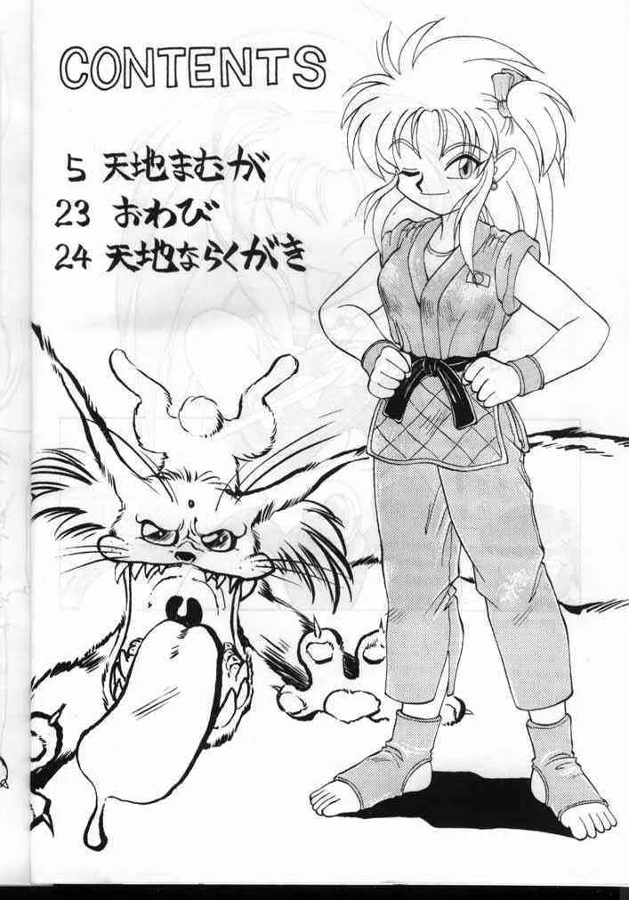 [ぢゃっからんたん (ねりわさび)] 天地無用！厚顔無知編 (天地無用！)_3