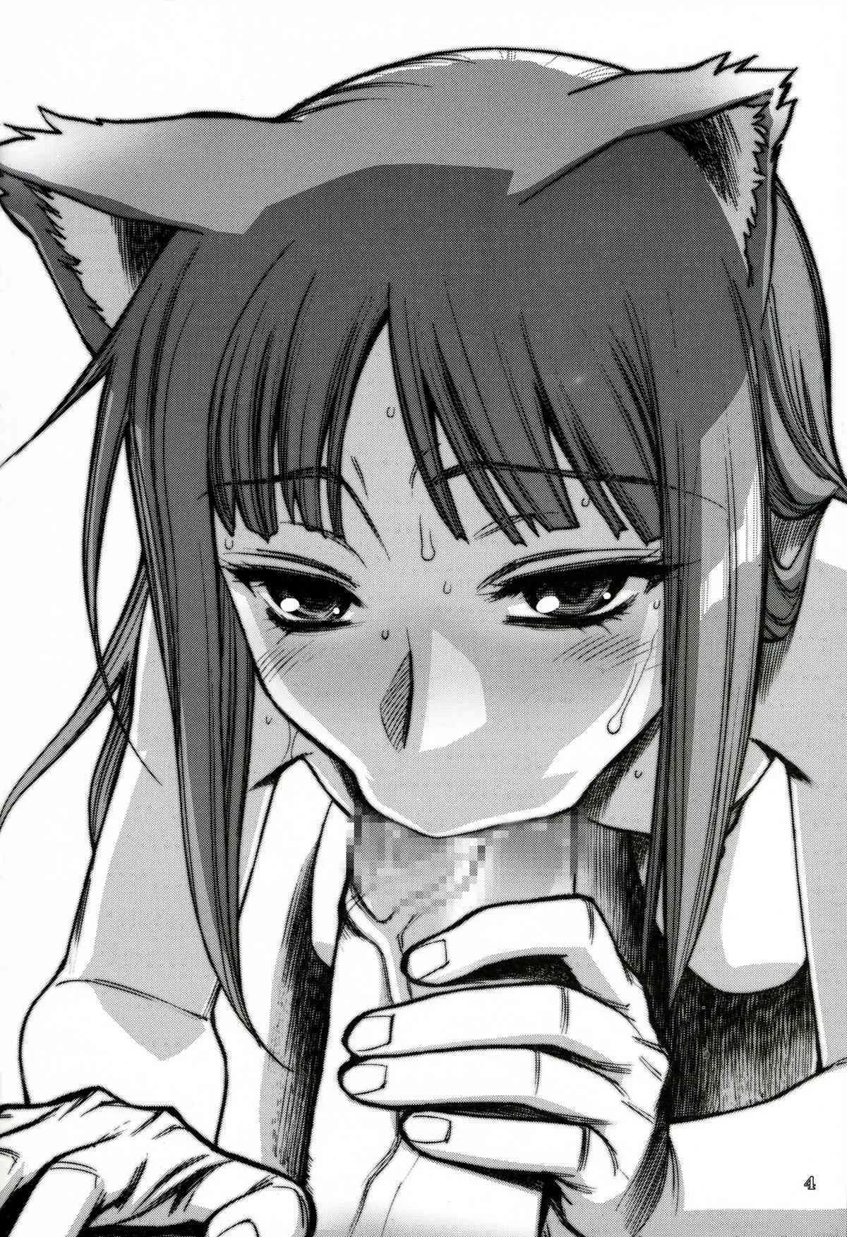 (COMIC1☆02) [ゲルピン & KNOCKOUT (忠臣蔵之介 , 水無月十三 & USSO)] 煽情の狼 2 (狼と香辛料)_2