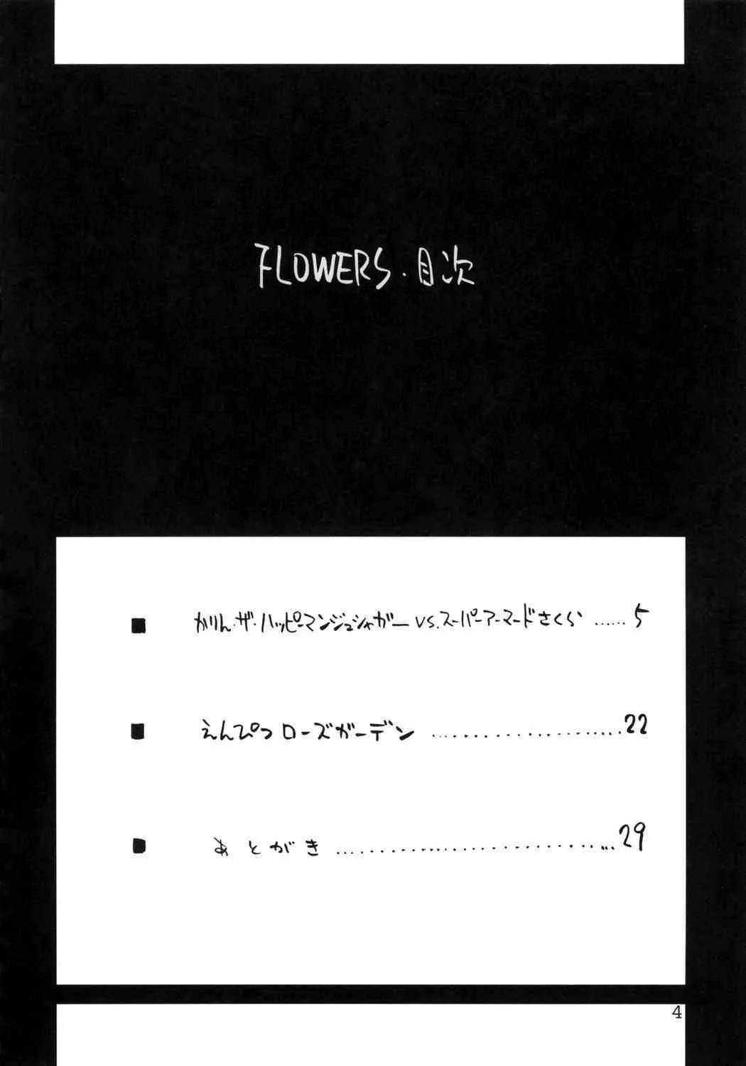 (C70) [バルバロッサ (東雲太郎)] Flowers (ストリートファイター)_3