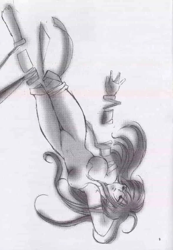 Gipusu_8