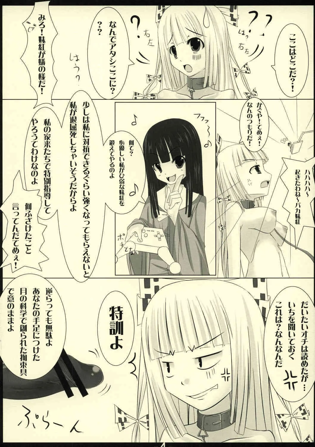(サンクリ40) [barista (霧瀬ミツル)] LYCORIS (東方Project)_6