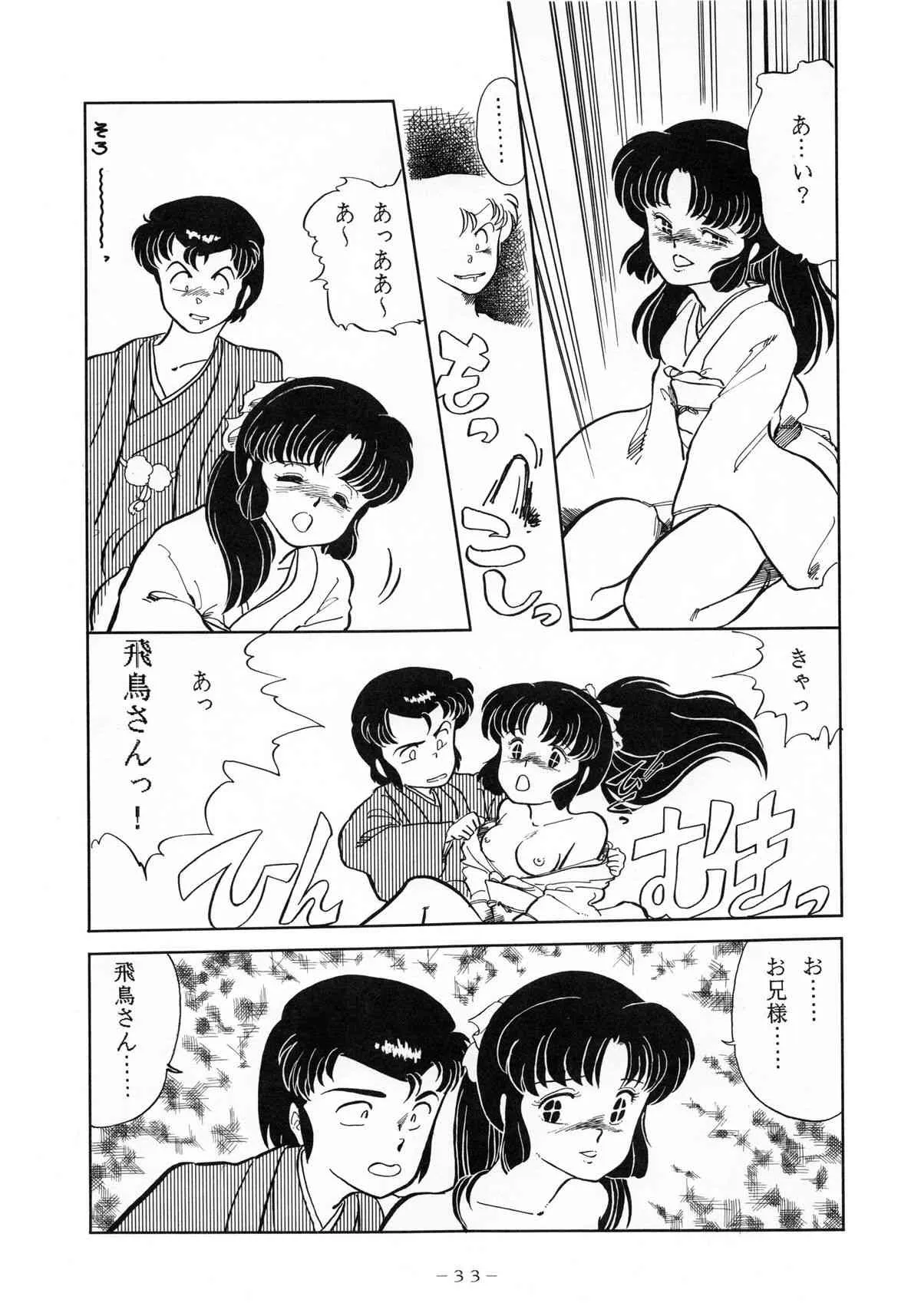 image_33