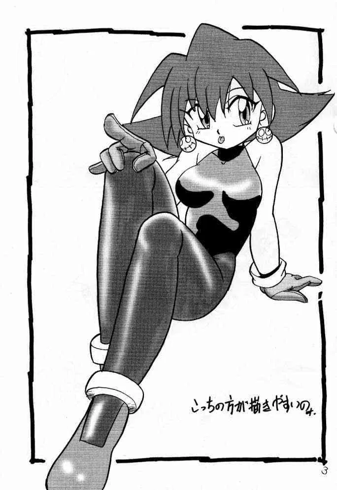 (C57) [1組 (和猫)] でJaう゛ 羊の巻 (ロックマンDASH)_2