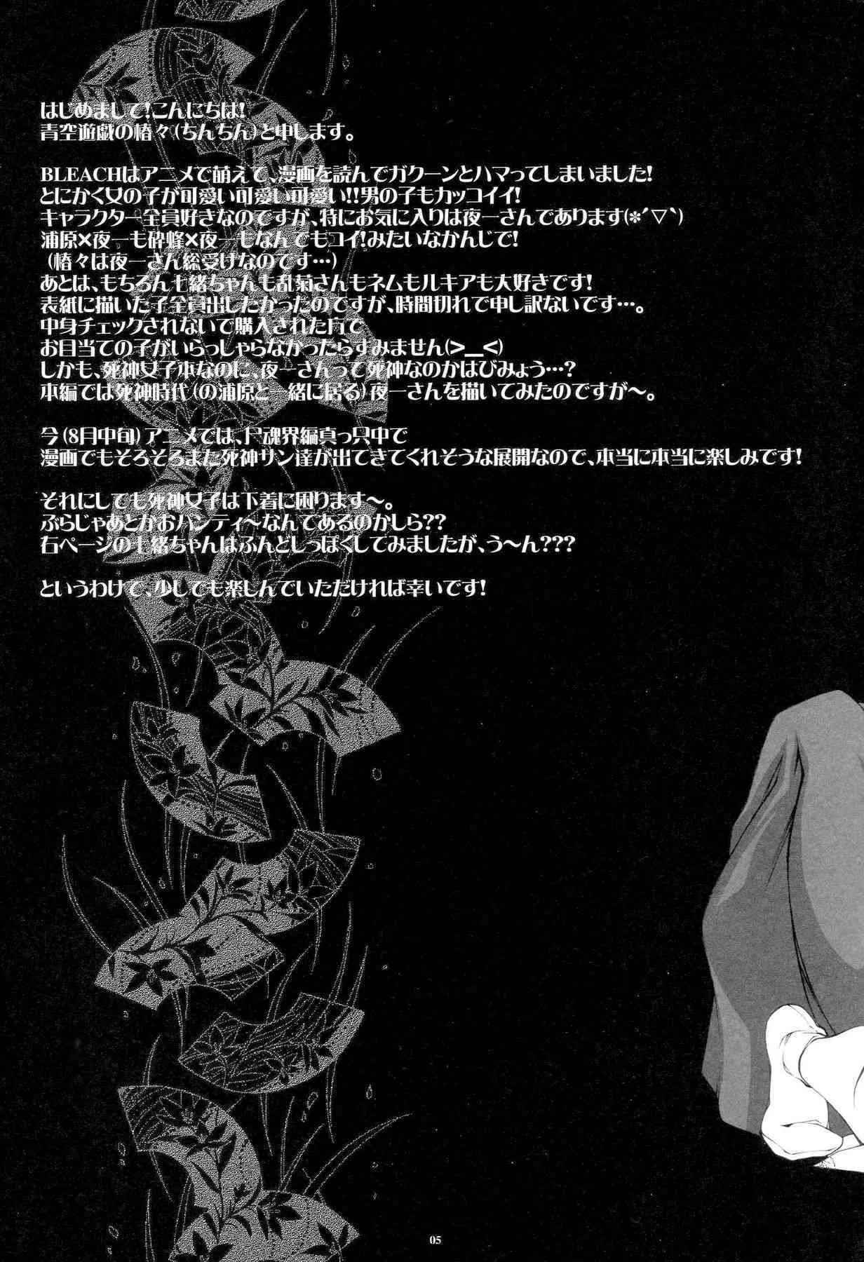 (C68) [青空遊戯 (かんかん)] 女性死神協会 私設支援部会報 (BLEACH)_4