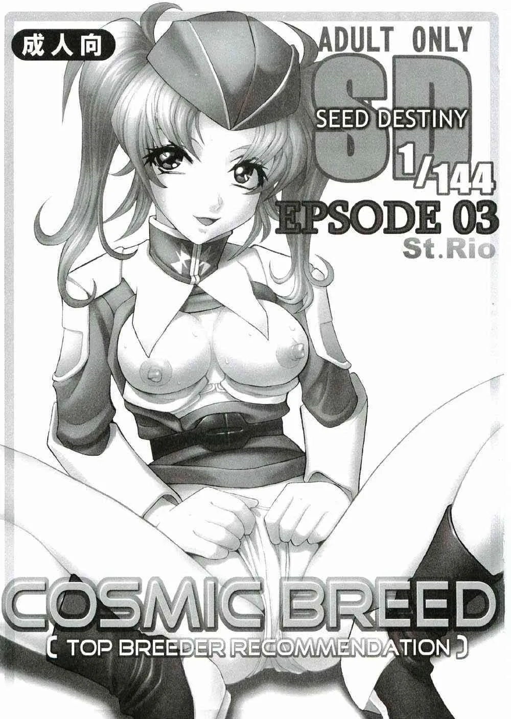 (CR37) [聖リオ (キ帝ィ)] コズミックブリード 03 (機動戦士ガンダムSEED DESTINY)_2