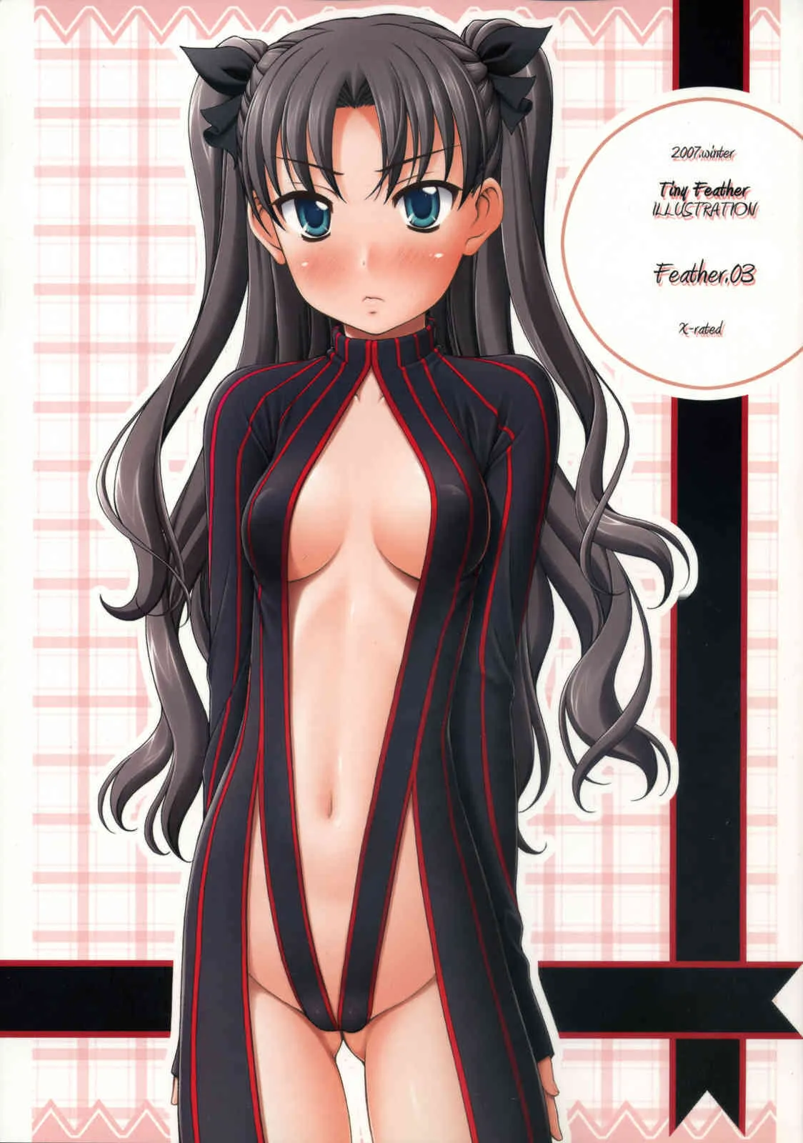 (C73) [Tiny Feather (Sin-Go)] Feather.03 (フェイト/ホロウアタラクシア)