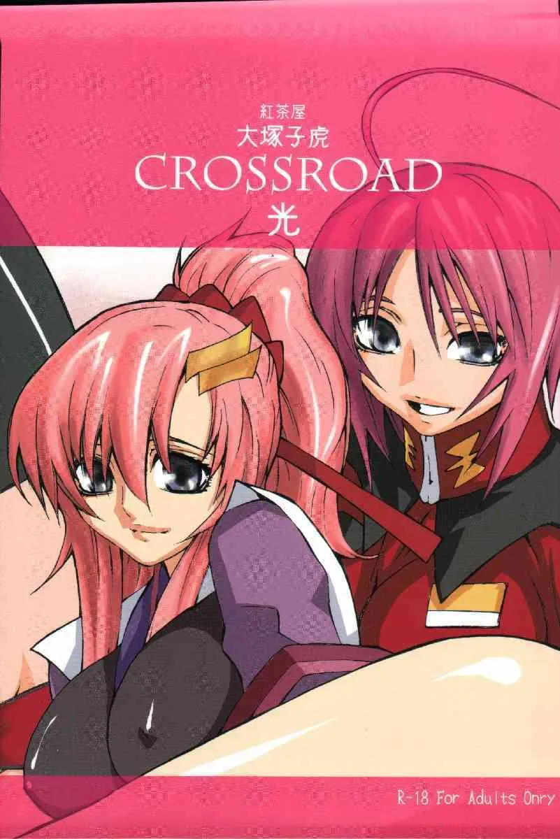[紅茶屋] crossroad 光 (機動戦士ガンダムSEED DESTINY)