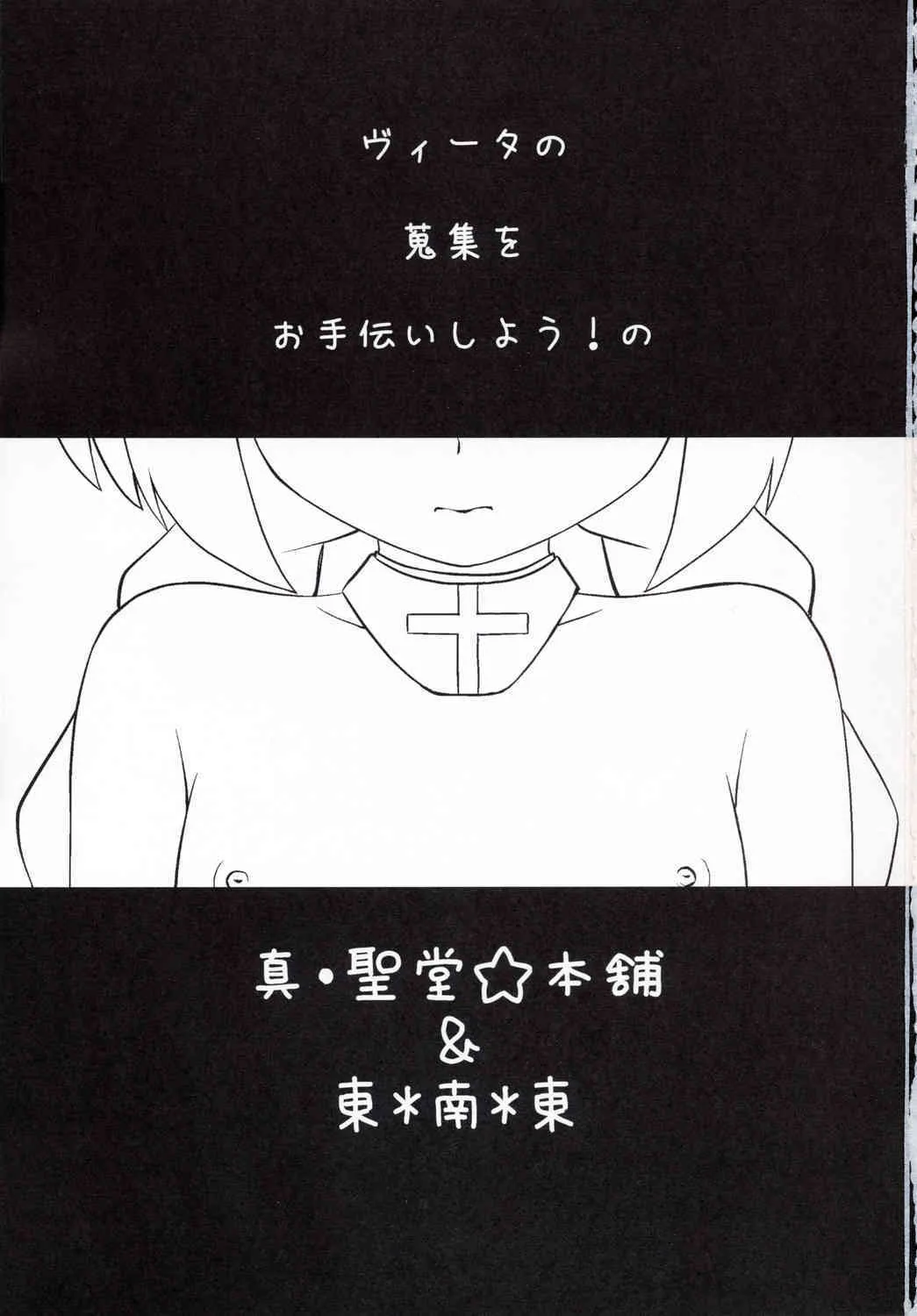 [Shin Seidou Honpo and Tounantou] Vita-chan no Shuushuu Nikki (Nanoha)_2
