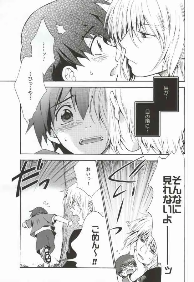 (C71) [CACHE-CACHE (南條パピ子)] 飴色ネメシス (ブレイブ・ストーリー)_6