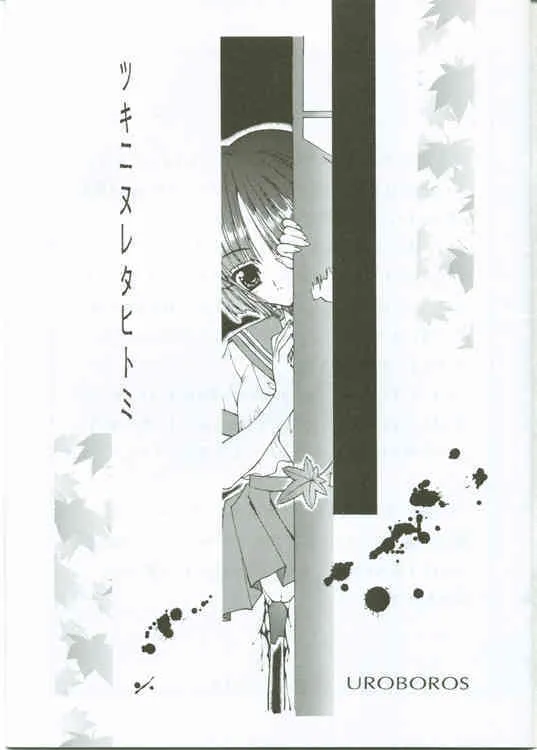(Cレヴォ27) [UROBOROS (うたたねひろゆき)] 月にぬれた瞳 (痕)_2