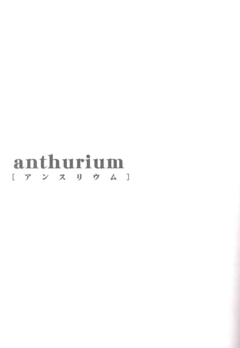 [SCOOP (Kain)] anthurium (d.gray-man)