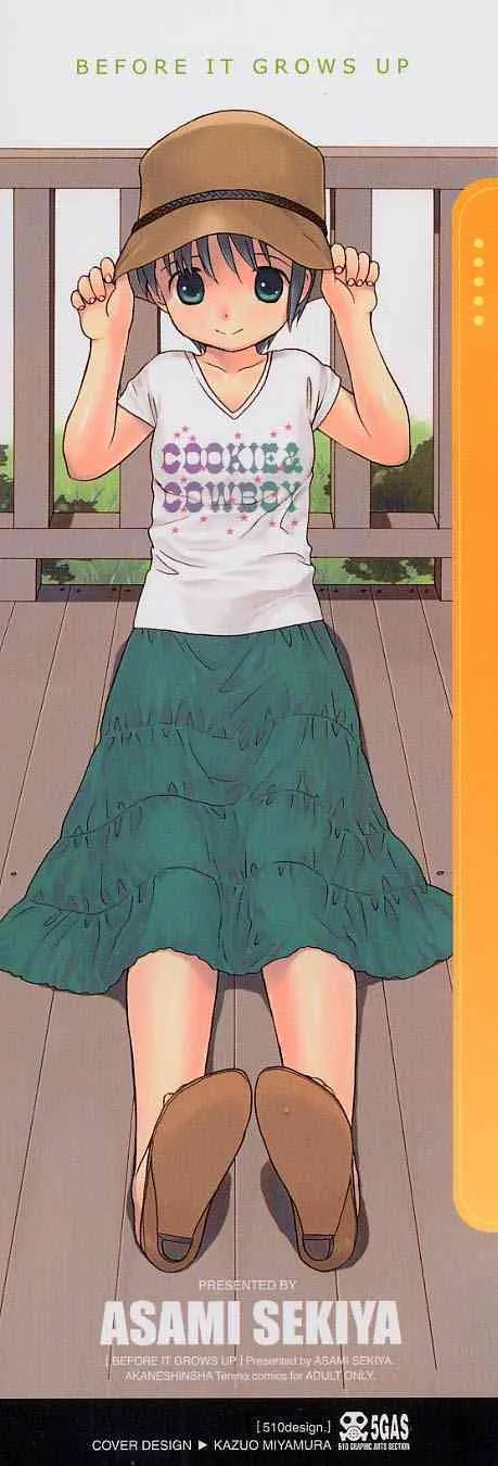 [関谷あさみ] おとなになるまえに BEFORE IT GROWS UP_3