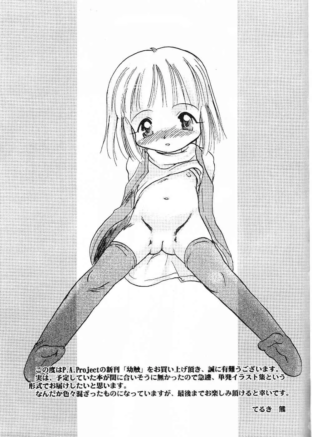 (C61) [P.A.Project (てるき熊)] 幼触_2
