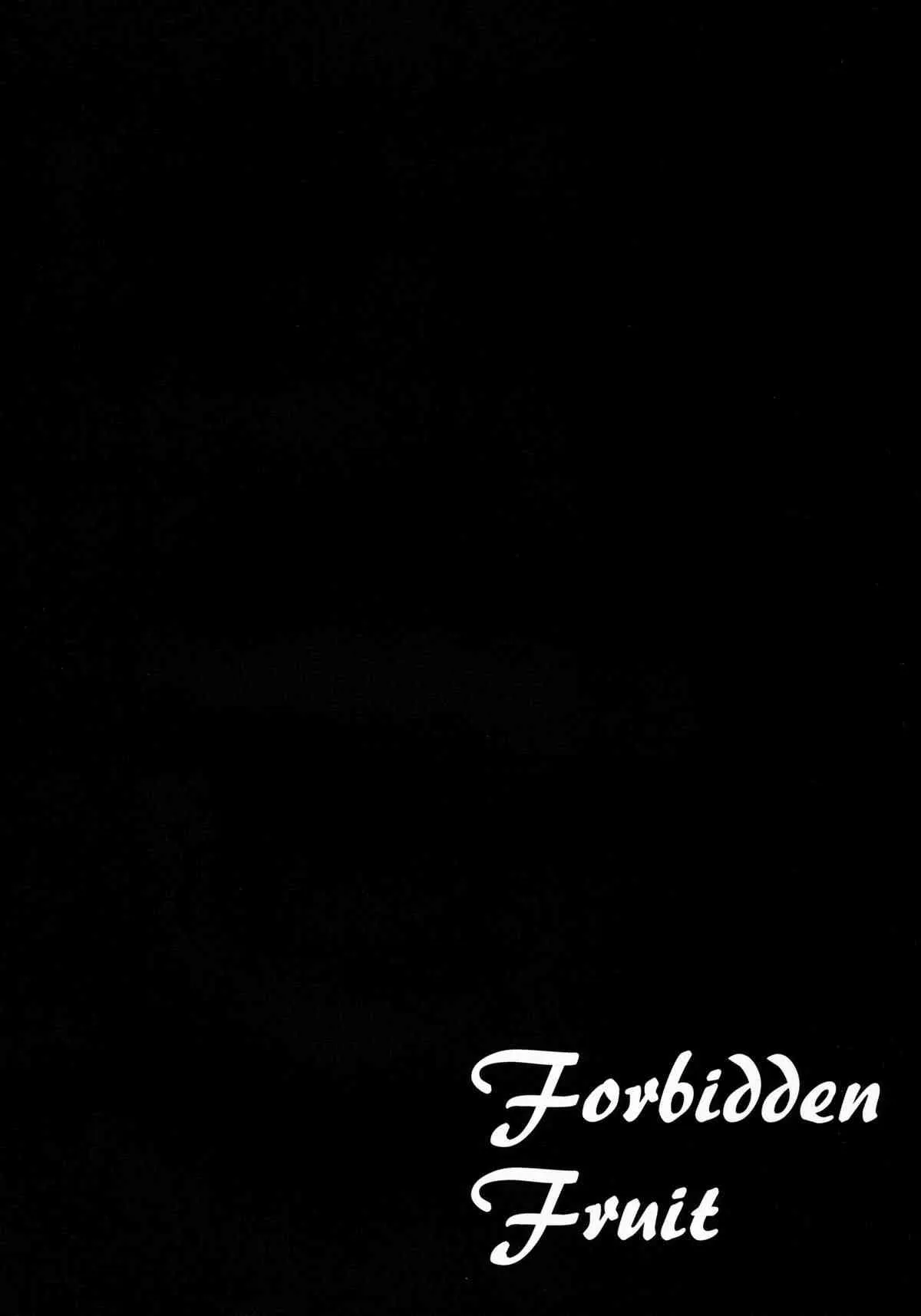 (例大祭11) [たこ焼き畑 (たこ焼き)] Forbidden Fruit (東方Project)_3