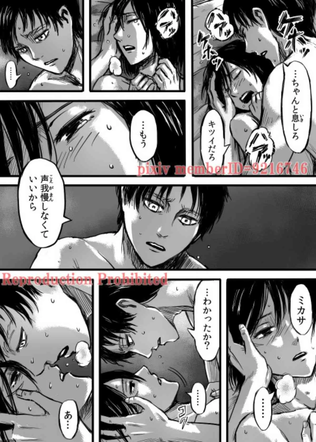 [211] 複製禁止 reproduction prohibited [shingeki no kyojin]_10
