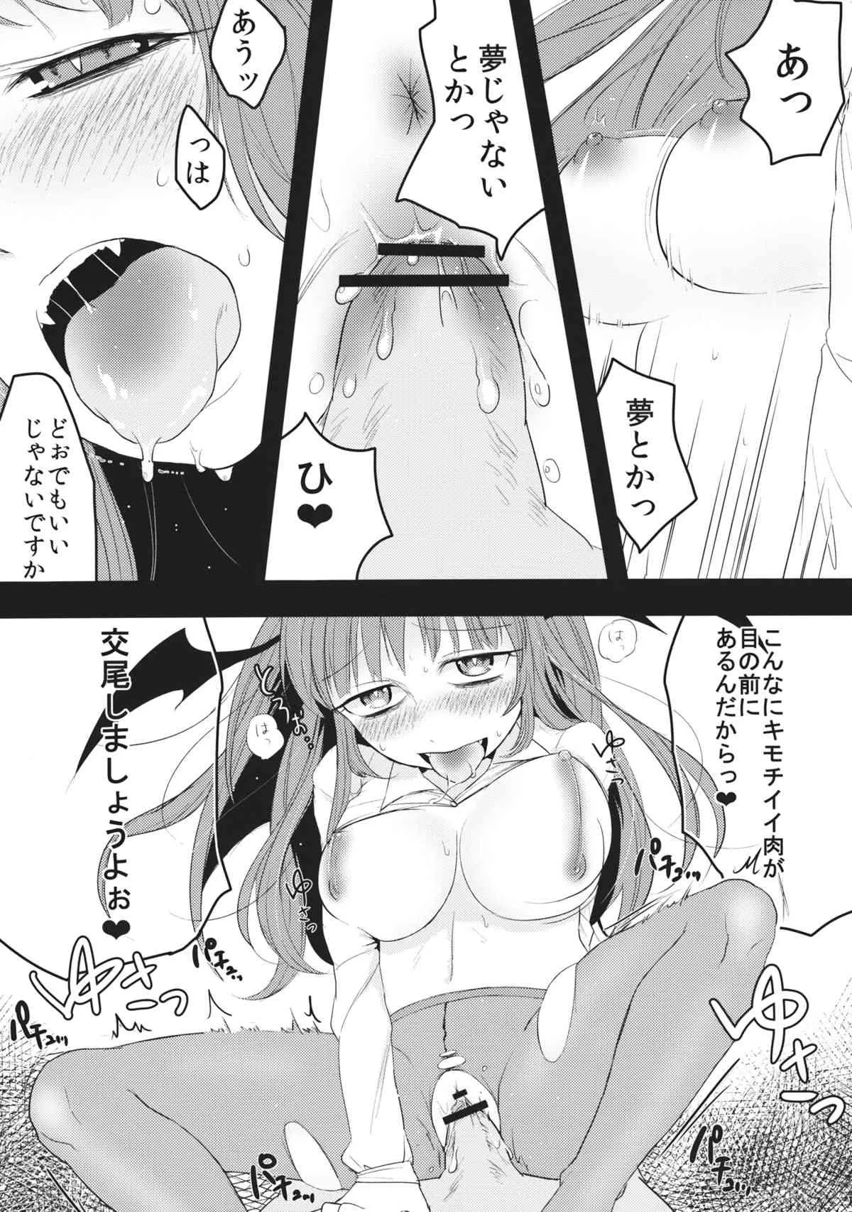 (例大祭10) [ついてゆけぬよ (ぞ)] よなよなよるのあな (東方Project)_10