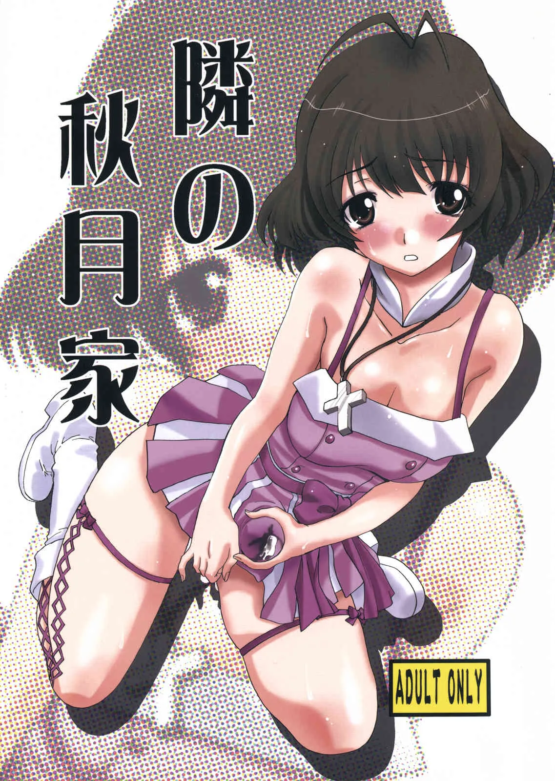 (C77) (同人誌) [板場畳店 (板場広し)] 隣の秋月家 (アイドルマスター)