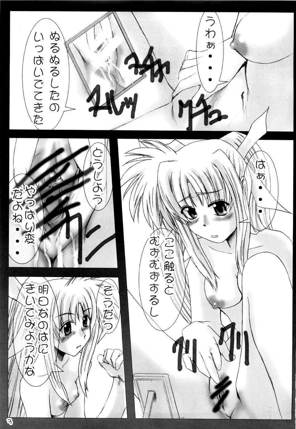 (C71) [バーニングハンマー(福井空)] 偽者の体なの？ (魔法少女リリカルなのは)_2