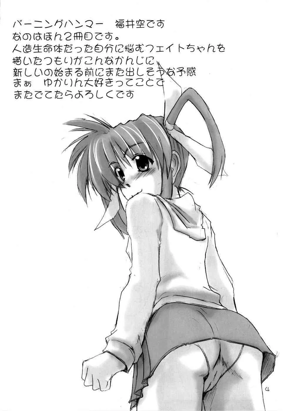 (C71) [バーニングハンマー(福井空)] 偽者の体なの？ (魔法少女リリカルなのは)_3