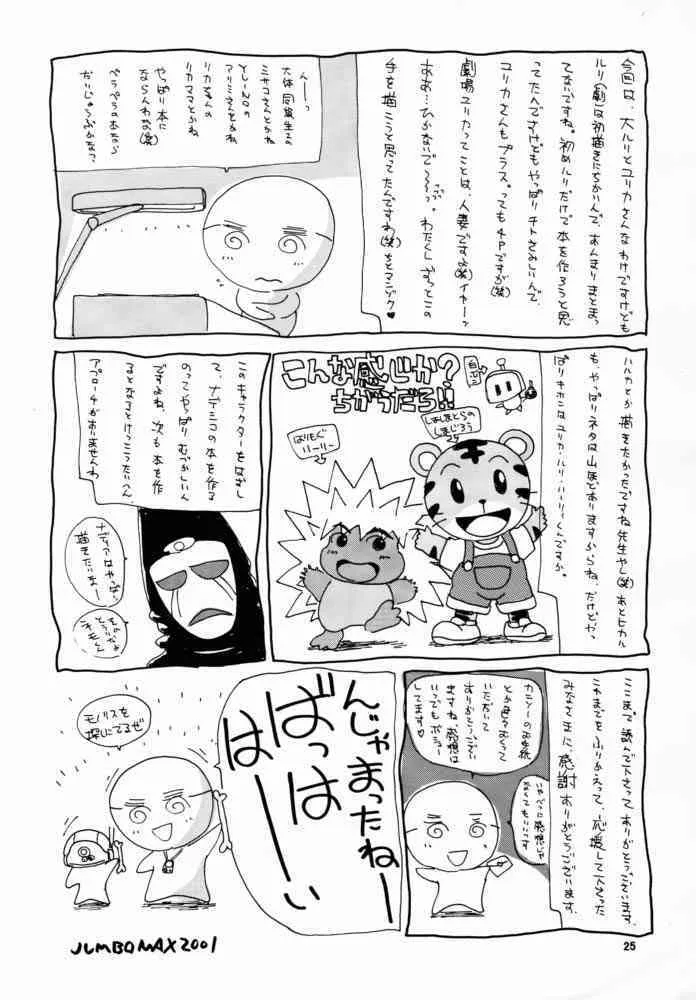 image_24